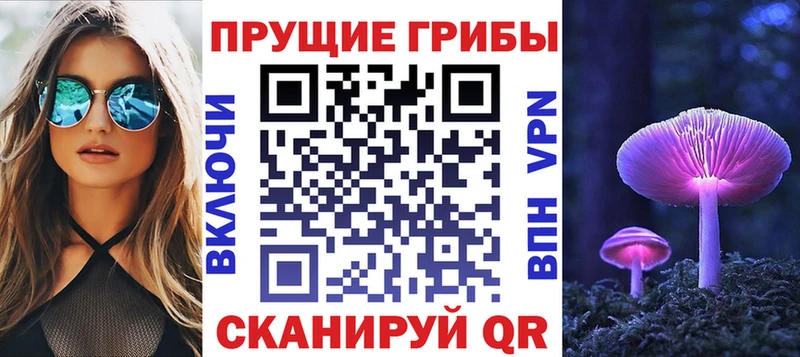 Псилоцибиновые грибы Cubensis  Купить закладки  Кукмор 